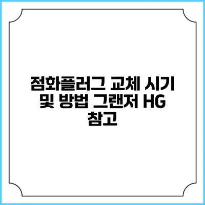 점화플러그 교체 시기 및 방법 그랜저 HG 참고