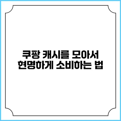 쿠팡 캐시를 모아서 현명하게 소비하는 법